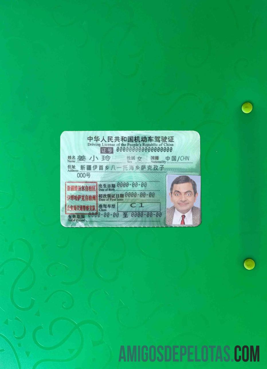 China DL fotovisual frontal amostra